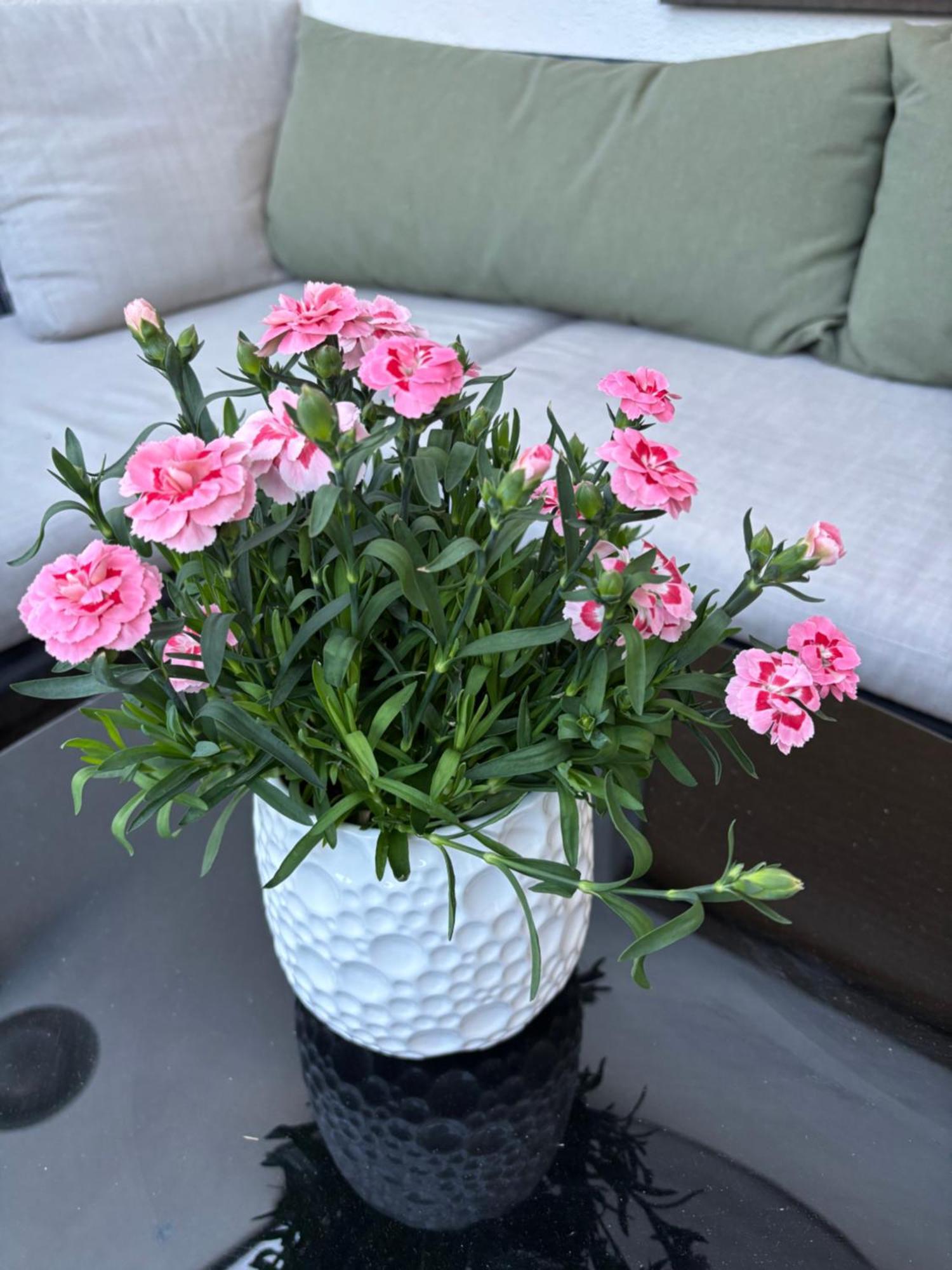 Lechtaler Alpenblick Landeck - Privatzimmer & Ferienwohnung מראה חיצוני תמונה